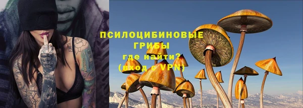 apvp Балахна