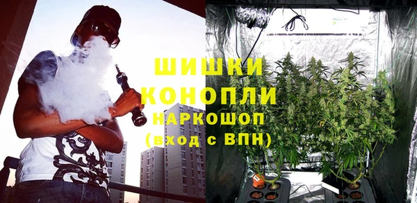 хмурый Нягань