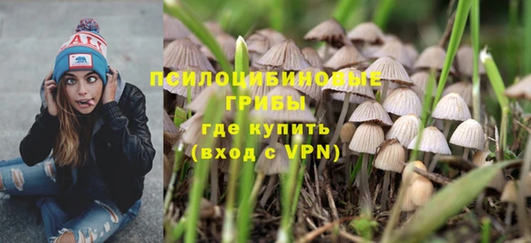 apvp Балахна