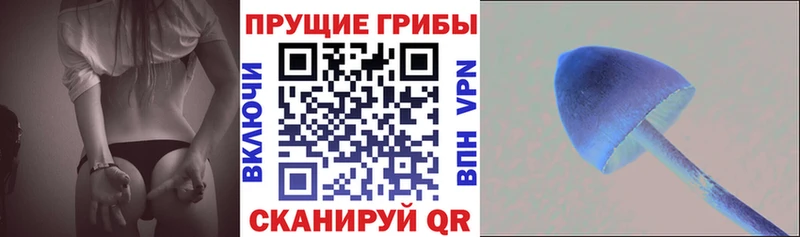 Галлюциногенные грибы MAGIC MUSHROOMS  купить наркоту  Заволжск 